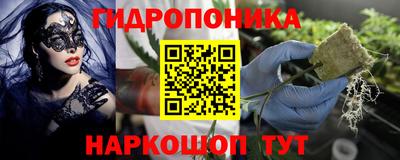 PSILOCYBIN Бугуруслан
