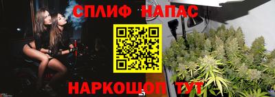 прущие грибы Бузулук