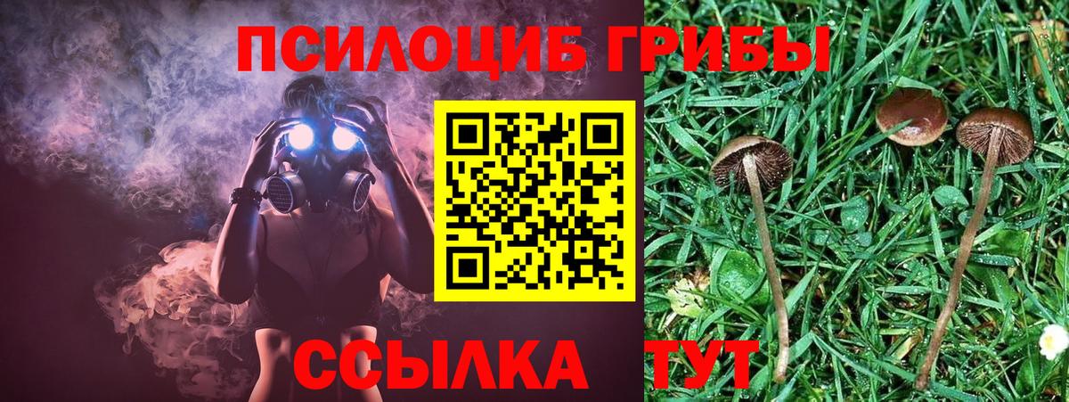 Сыктывкар  Галлюциногенные грибы ЛСД  Вход с VPN  Псилоцибиновые грибы мухоморы 